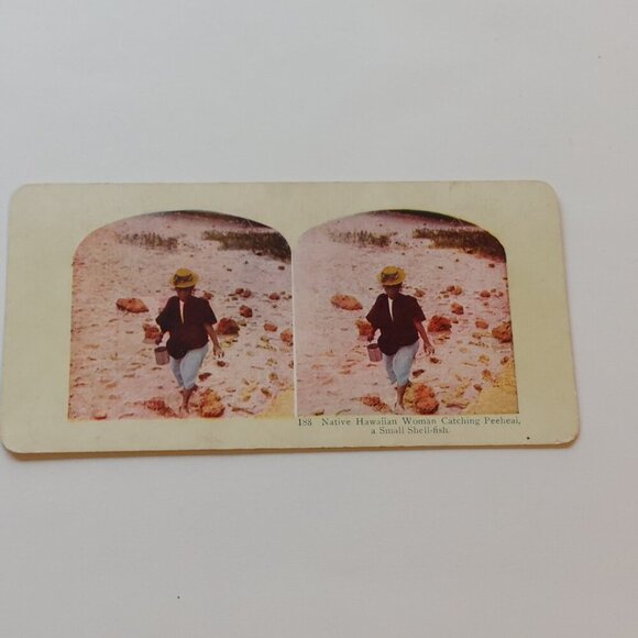 ANTIQUE STEREOGRAPH Card DOUBLE SIDED Bamboo as it Grows, Manilla/Peeheai COLOUR - Picture 3 of 5